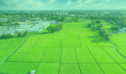 Go to the sale section