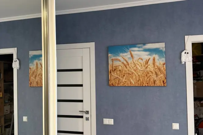 Realty photo, V'yacheslava CHornovola, 6a - 11