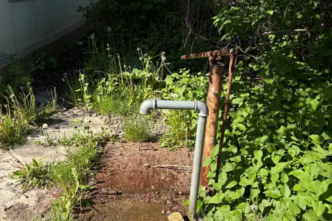 Realty photo, Krinichna, 16 - 2