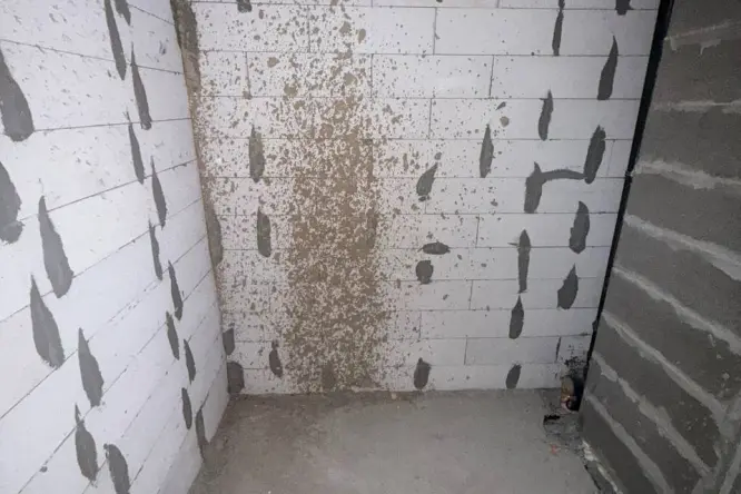 Realty photo, SHkіlna, 73-H - 7