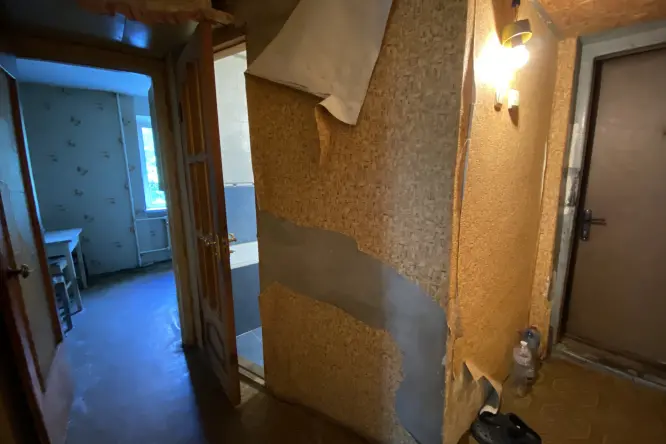 Realty photo, CHornih Zaporojtsіv, 49 - 16
