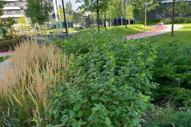 Фото нерухомості, Дніпровська Набережна, 15Ж - 18