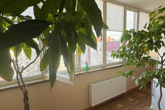 Realty photo, Hrushevskoho, 21 - 8