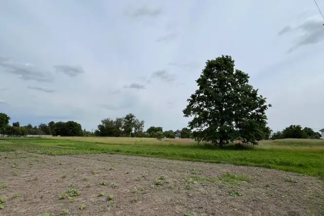 Realty photo, Bobritska, 52 - 11