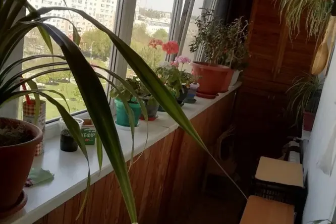 Фото нерухомості, Шкільна, 7 - 14