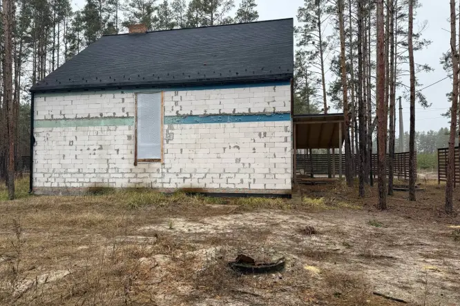 Фото нерухомості, Лебедина - 8