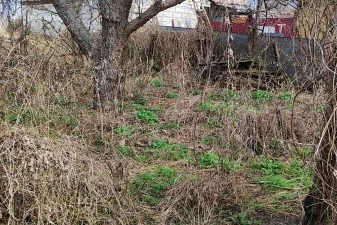 Realty photo, Turchinovskoho, 20a - 7