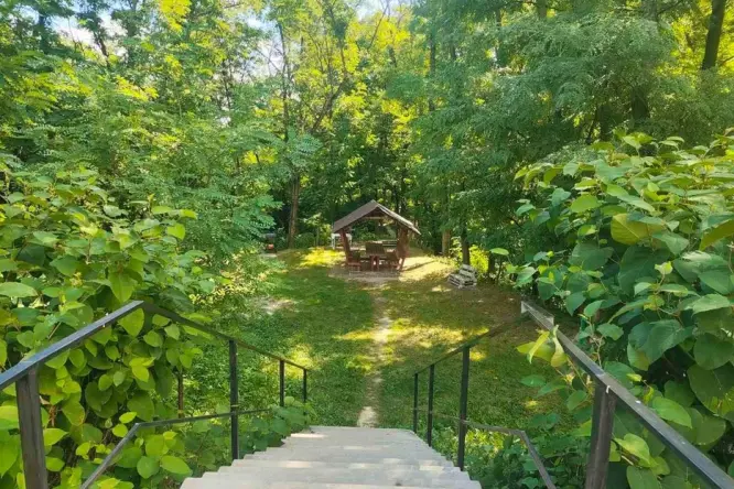 Realty photo, Vatutіna, 79 - 23