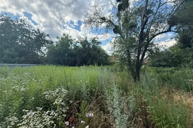 Realty photo, Sadova 1, 113 - 6