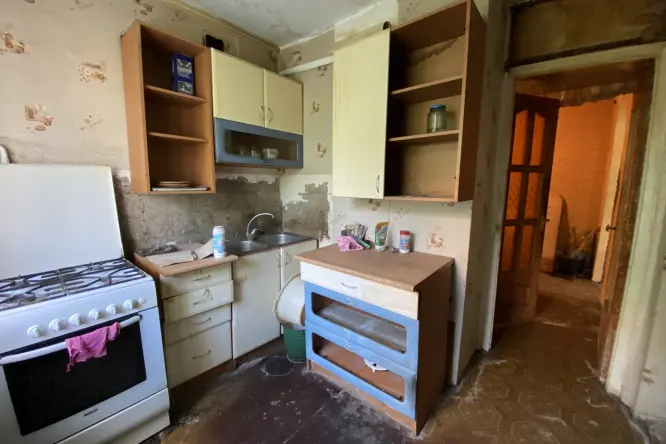 Realty photo, CHornih Zaporojtsіv, 49 - 4