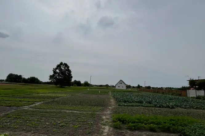 Realty photo, Bobritska, 52 - 8