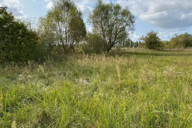 Realty photo, Polova - 2