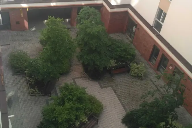 Фото нерухомості, Шевченко, 6Б - 15