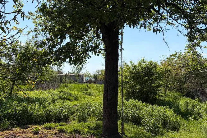 Realty photo, Krinichna, 16 - 12