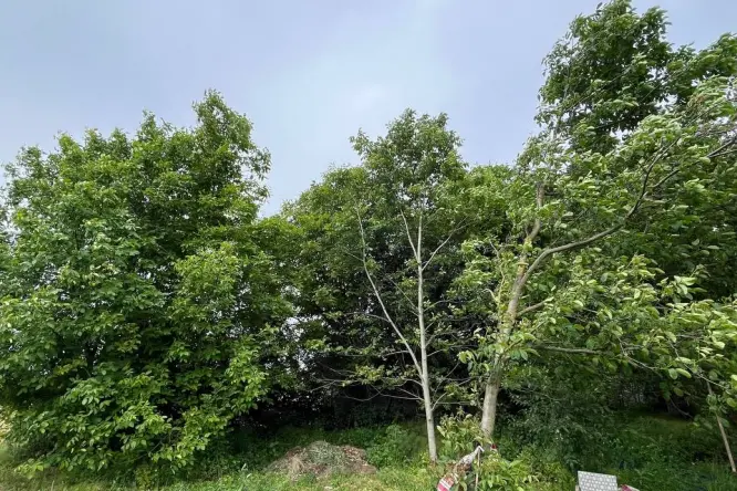 Realty photo, Bobritska, 52 - 7