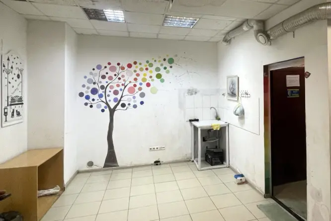 Фото нерухомості, Іллєнка, 32 - 8