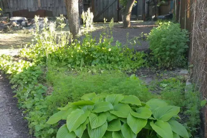 Realty photo, YAhіdna, 22 - 3