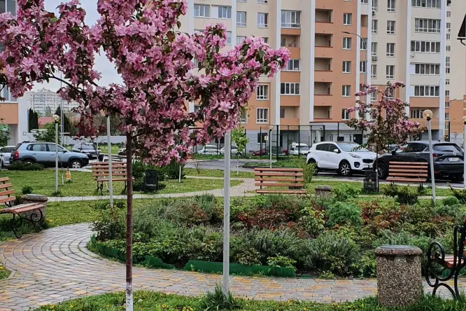 Realty photo, CHubinskoho, 8 B - 1