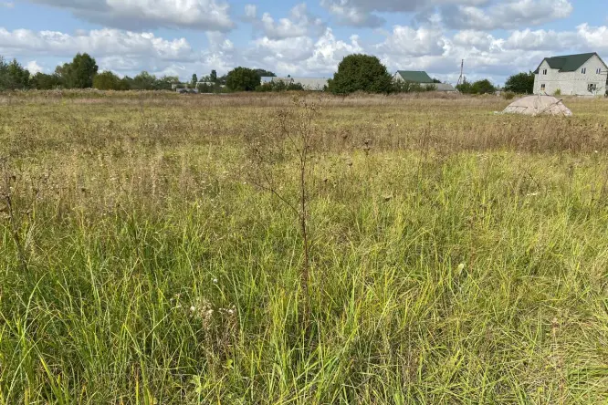 Realty photo, Polova - 0