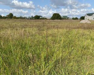 Realty photo, Polova